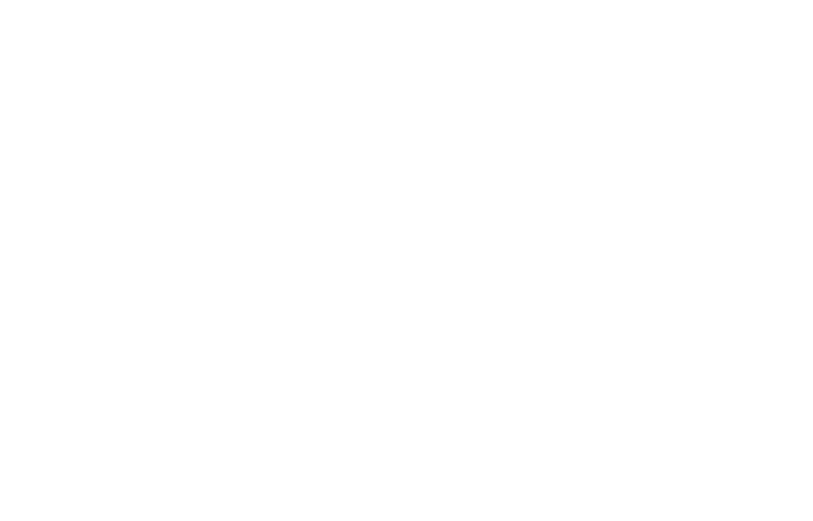 Vielen Dank für Ihr Engagement!